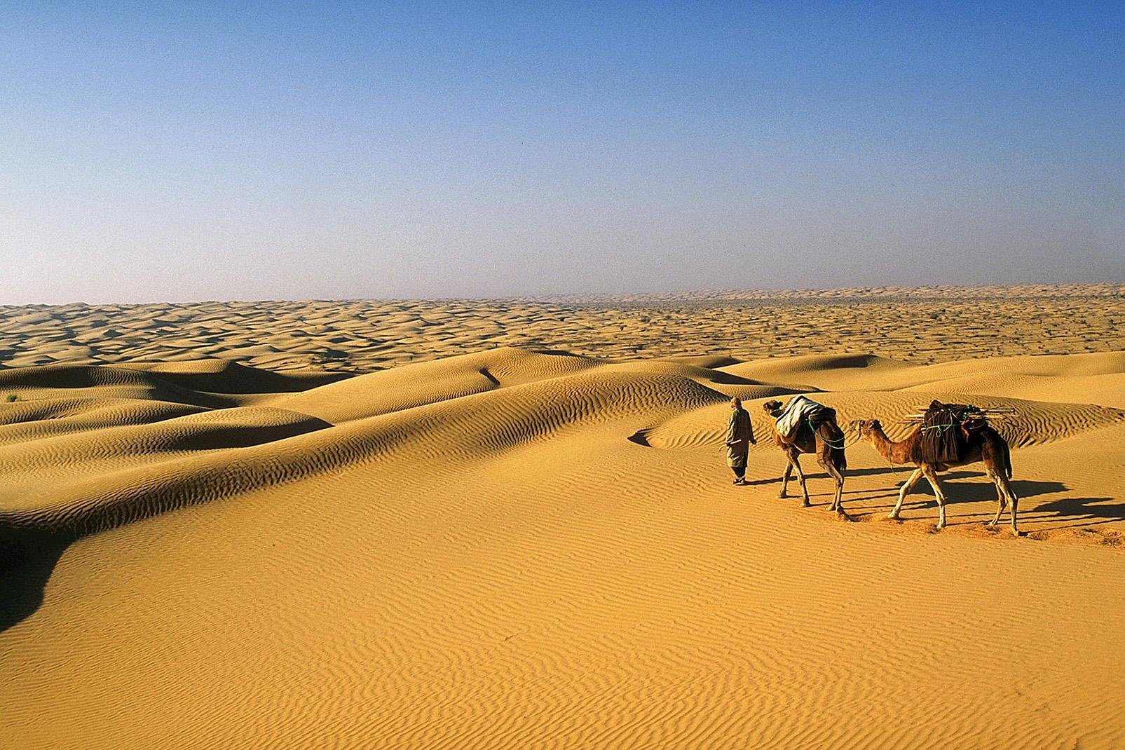 Saharienne 3 Jours / 3 Days Sahara Tour